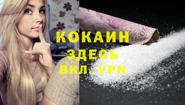 прущие грибы Володарск
